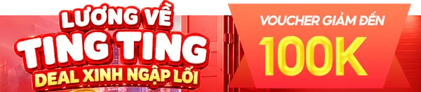 LƯƠNG VỀ 100