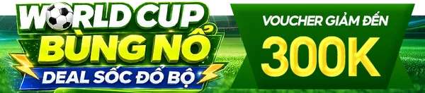 WORLDCUP-300