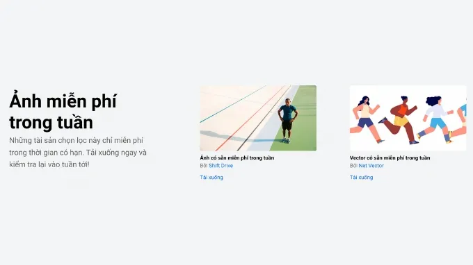 Cách tải ảnh miễn phí trên Shutterstock