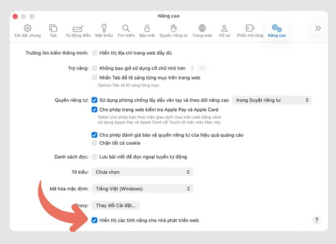 Tích chọn mục Hiển thị tính năng cho nhà phát triển web