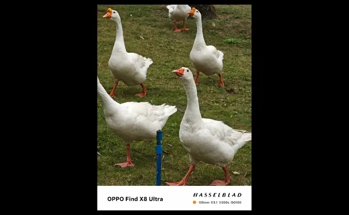 Camera telephoto 6x