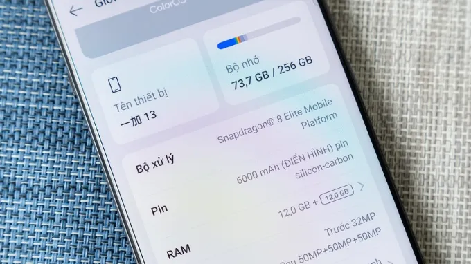 OnePlus 13