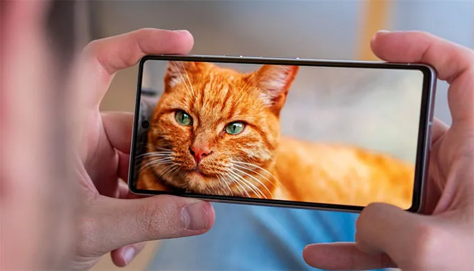 Màn hình Google Pixel 7 sử dụng tấm nền OLED 6.3 inch