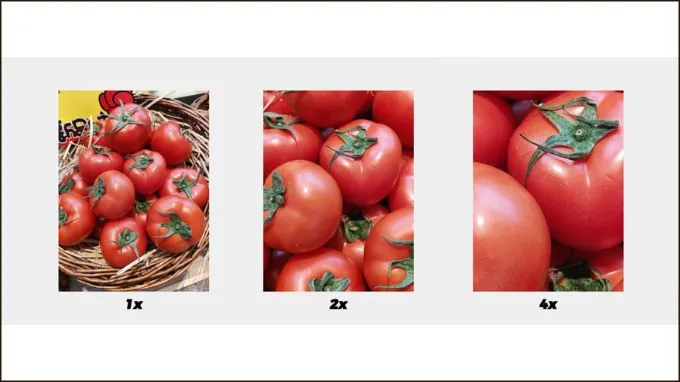 Ảnh chụp Zoom bằng camera Honor 400