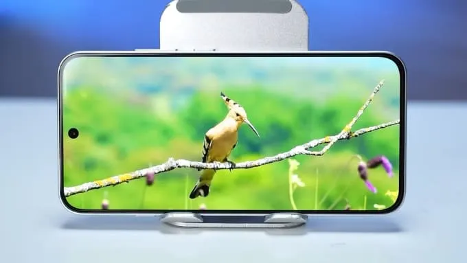 So sánh OPPO Reno16 F vs HONOR 600 về màn hình